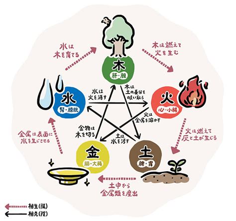 五行 木 性質|五行の意味(木) 